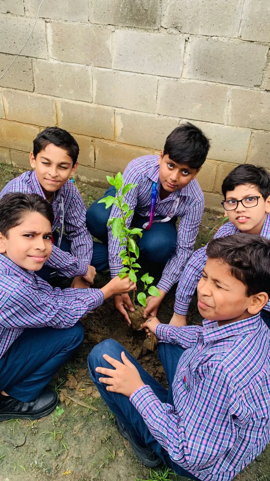Van Mahotsav Tree Plantation, photo 25