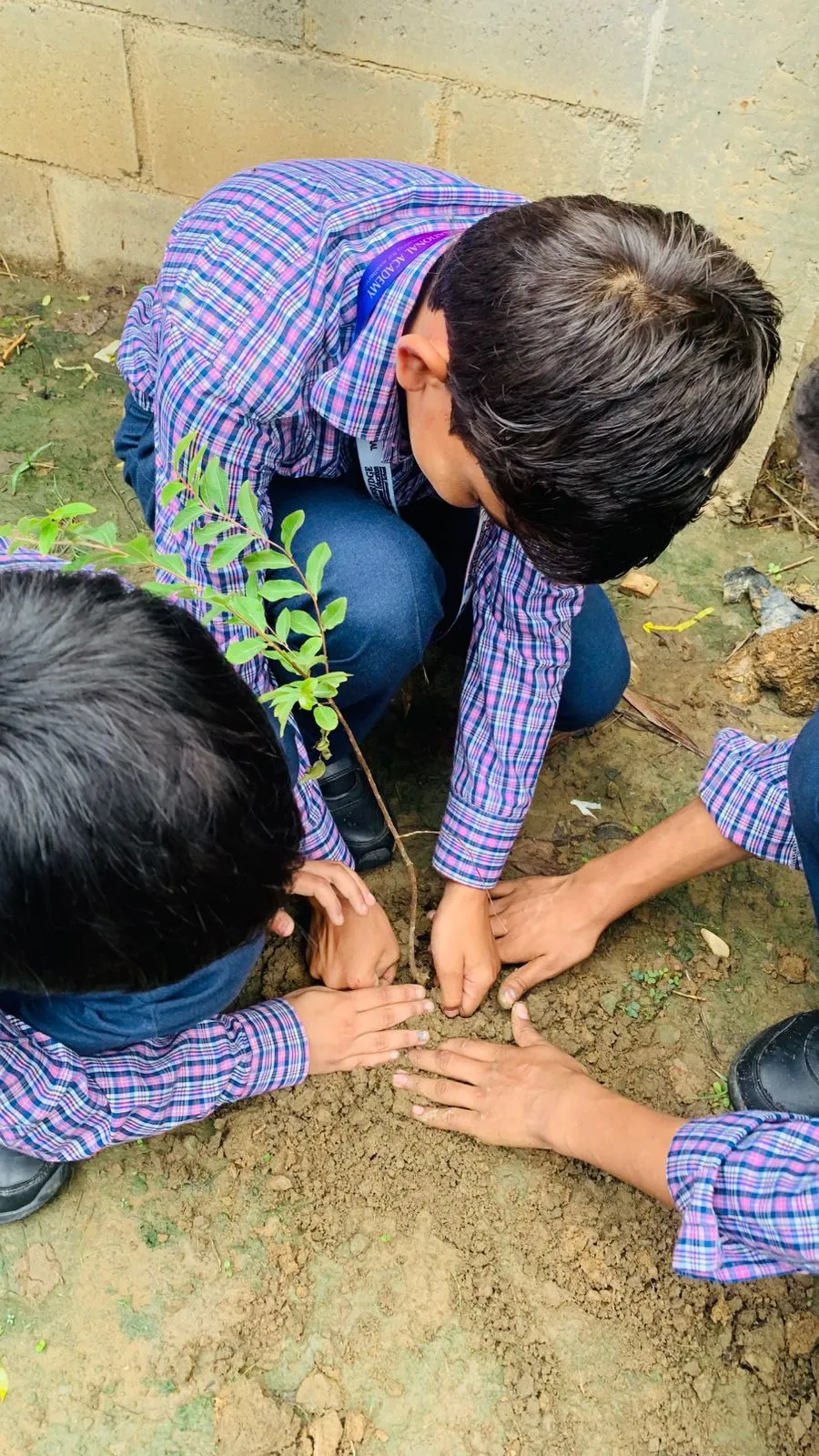 Van Mahotsav Tree Plantation, photo 30