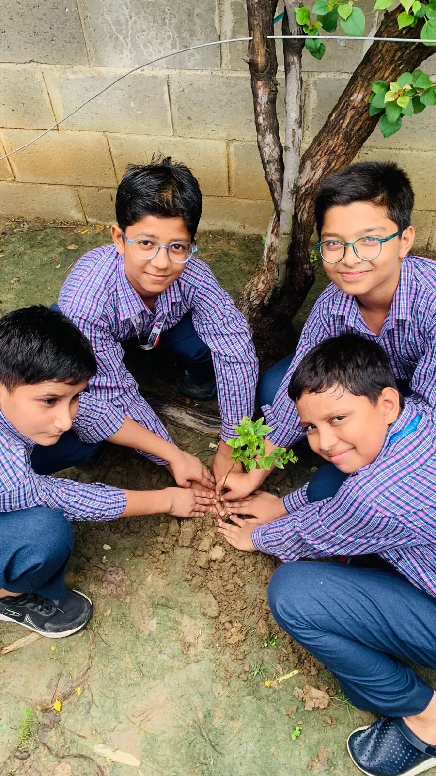 Van Mahotsav Tree Plantation, photo 23